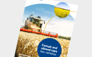 Cereals and OSR brochure 2024